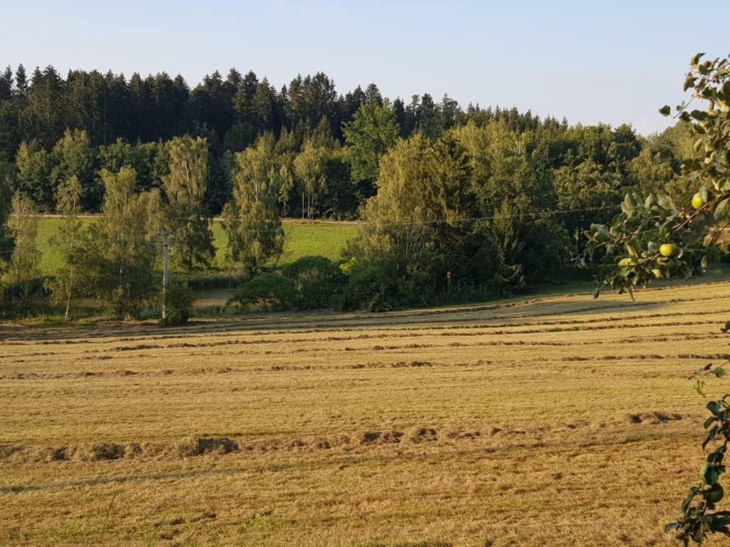Ferienhof Loew Salzweg Dış mekan fotoğraf