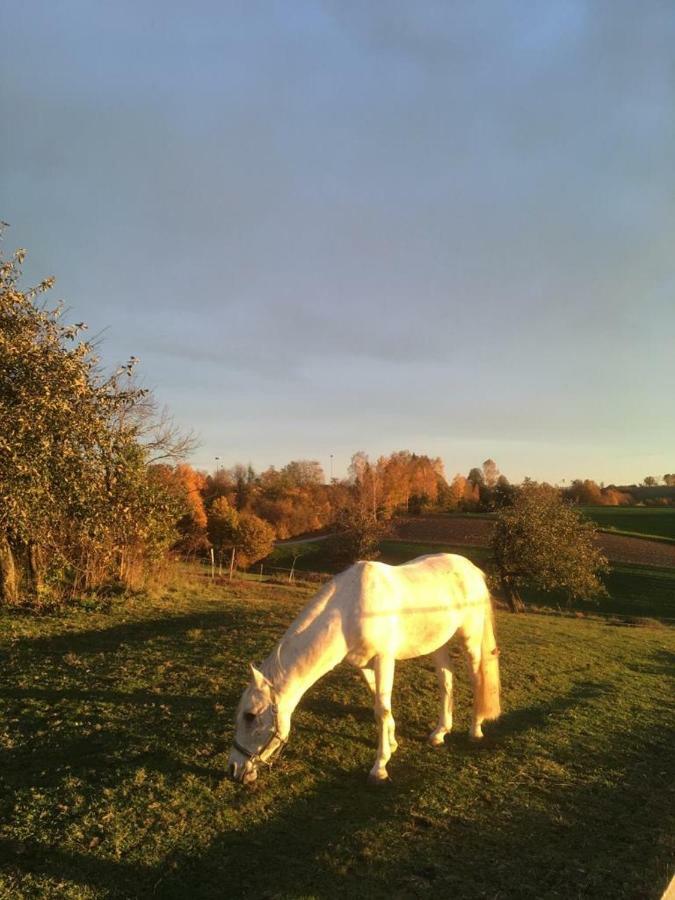 Ferienhof Loew Salzweg Dış mekan fotoğraf