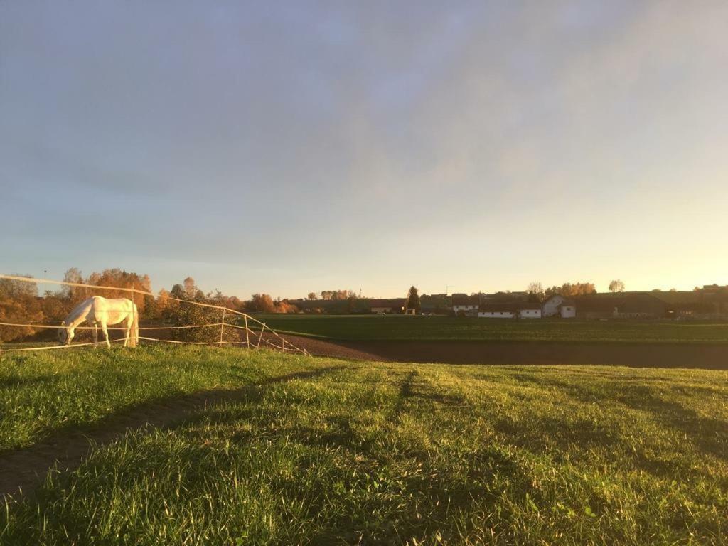 Ferienhof Loew Salzweg Dış mekan fotoğraf